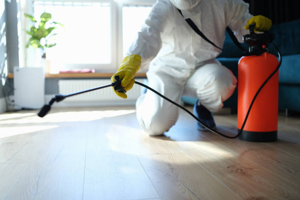 Trusted Sewage Cleanup service in Pawnee, IL - Four Month Blood Cleanse